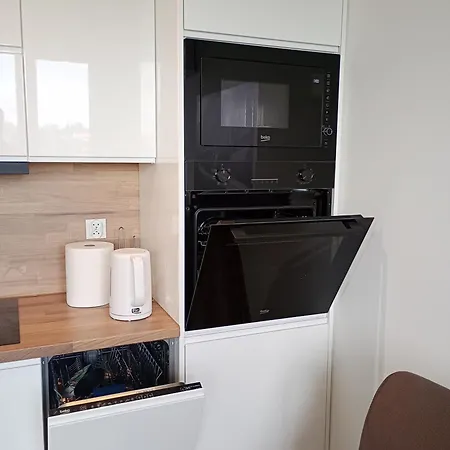 Apartment Moniuszki 4 Cieszyn (Silesia)